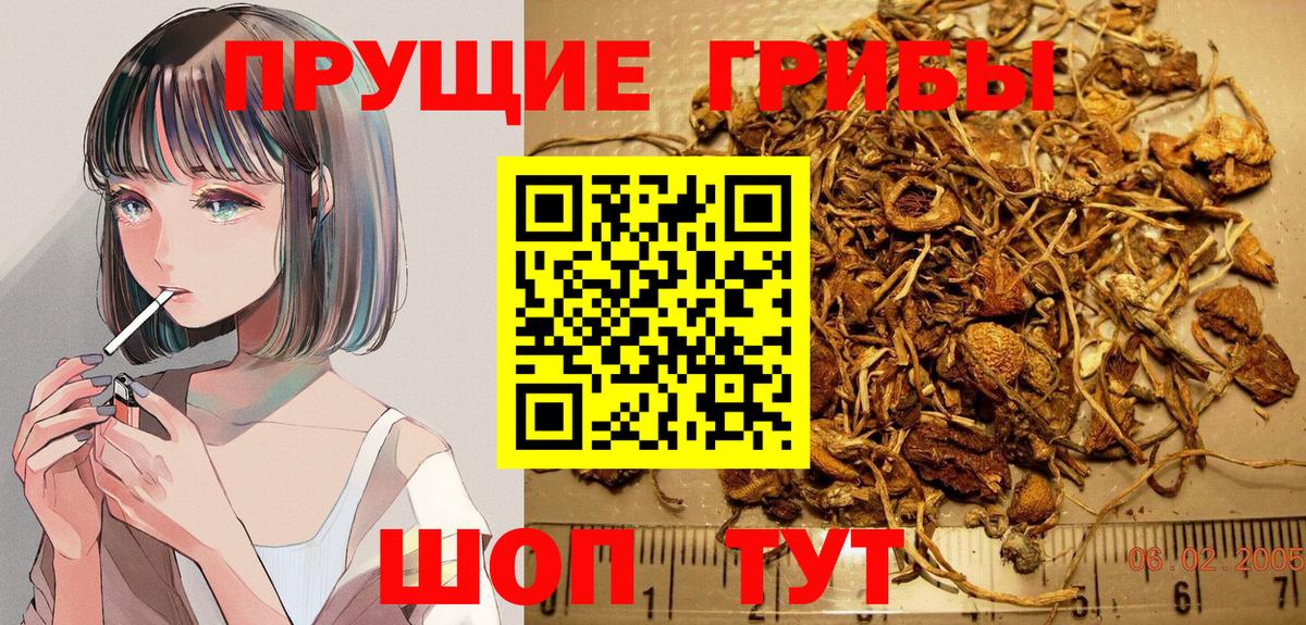 Галлюциногенные грибы Psilocybine cubensis  Псилоцибиновые грибы мухоморы  Вход с VPN  Назрань 